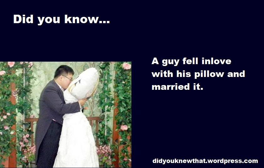 Pillow Did You Know